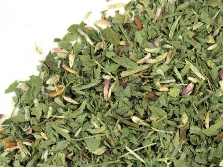 Red Clover Trifolium Pratense Wildcraft Online Hot Sale