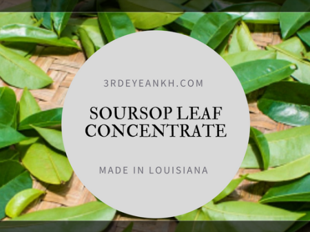 8 oz Soursop Leave Concentrate Sale