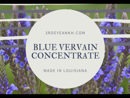 8 oz Blue Vervain Elixir Online now