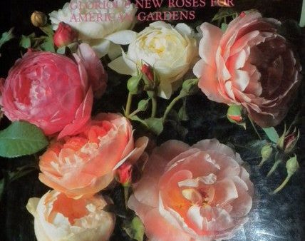 Roses: An Illustrated Treasury (Courage Illustrated Treasuries) Online Sale