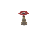 Peglar Gate Valve. 3 4 , Made of Brass with Red Handle, Durable, Cast Iron - PEGG004 Online